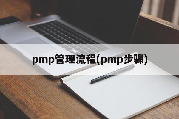 pmp管理流程(pmp步骤)