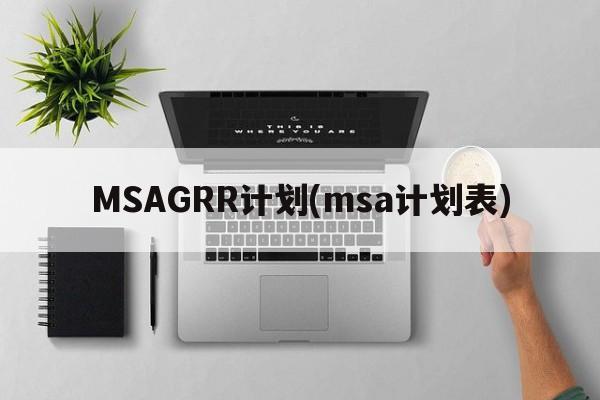 MSAGRR计划(msa计划表)