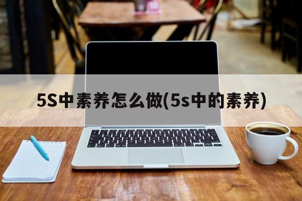 5S中素养怎么做(5s中的素养)