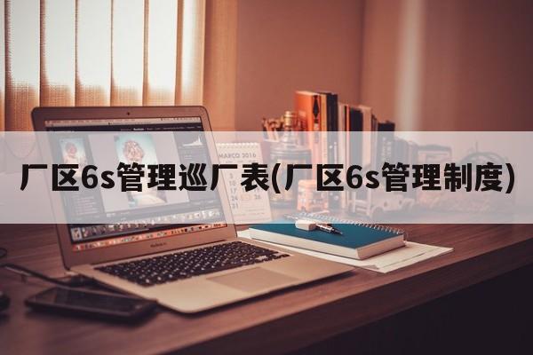 厂区6s管理巡厂表(厂区6s管理制度)