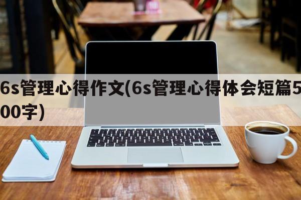 6s管理心得作文(6s管理心得体会短篇500字)