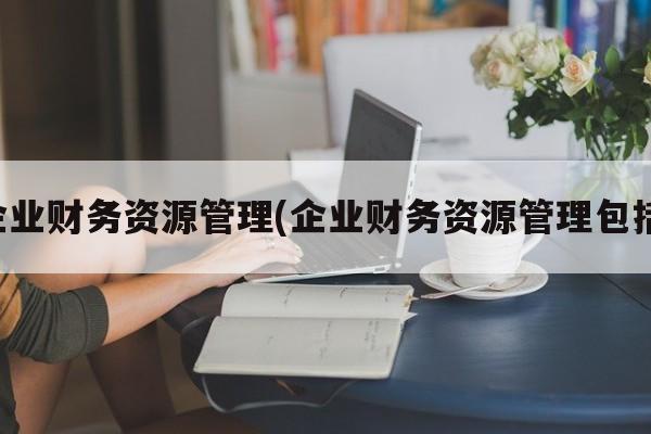 企业财务资源管理(企业财务资源管理包括)