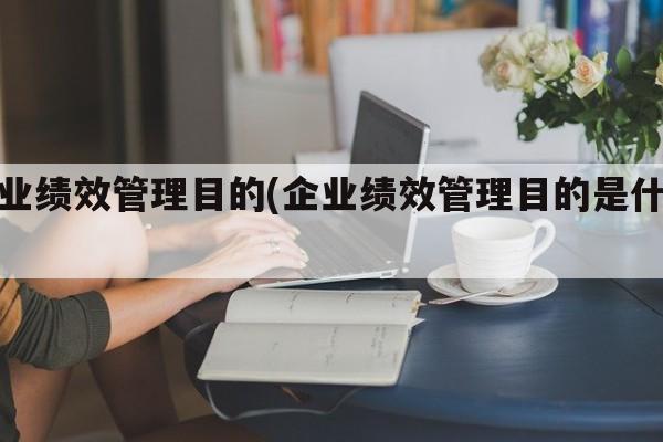 企业绩效管理目的(企业绩效管理目的是什么)